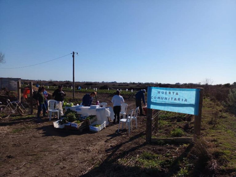 Primera producción de la huerta comunitaria