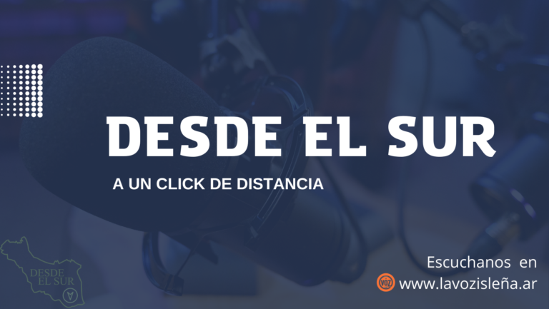 Desde el Sur. Programa n° 14