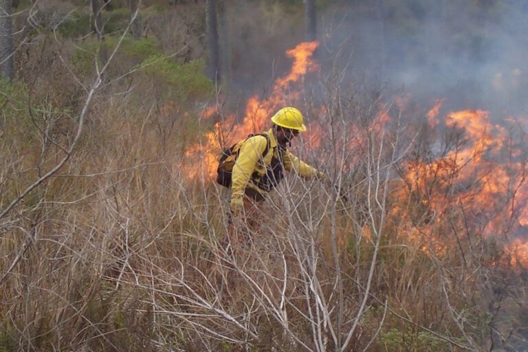 Prohíben realizar quemas en toda la provincia hasta fines de febrero