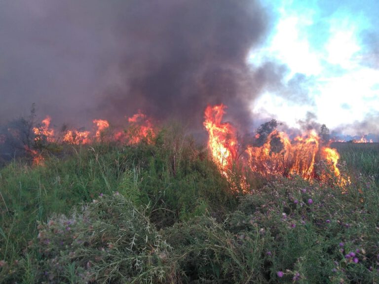 Incendios en el sur de la provincia