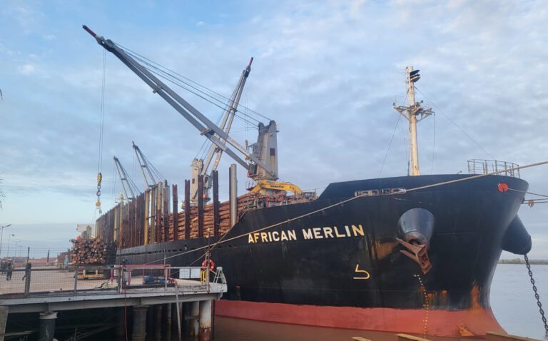 El buque “African Merlin” trabaja en el Puerto Ibicuy