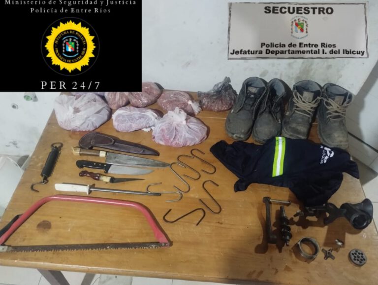 Secuestran armas y elementos robados en dos allanamientos en Ibicuy