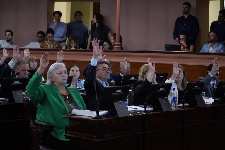 Se aprobó en la Cámara de Diputados la Boleta Única de Papel