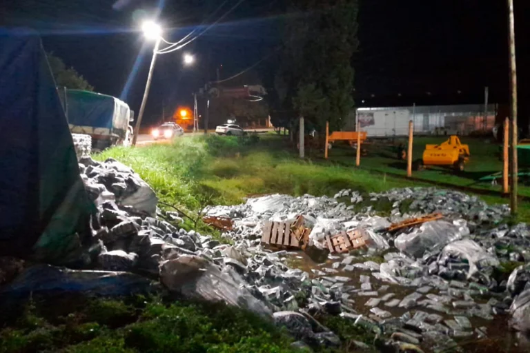 VOLCÓ UN CAMIÓN CARGADO CON PAQUETES DE ARROZ Y SE LLEVARON LA MERCADERÍA