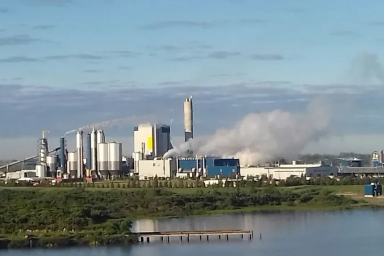 ASEGURAN QUE LA PLANTA UPM TUVO 14 “EVENTOS CONTAMINANTES” EN MENOS DE UN AÑO