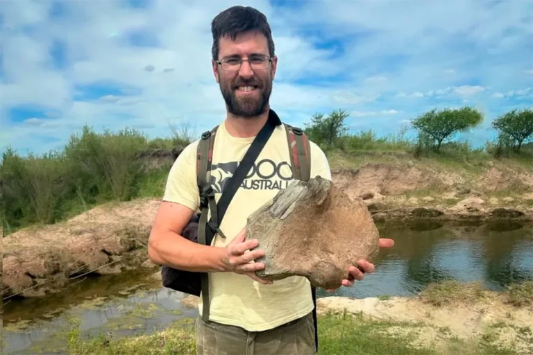 HALLARON RESTOS FÓSILES DE UNOS 10 MIL AÑOS DE ANTIGÜEDAD EN GUEALEGUAYCHÚ
