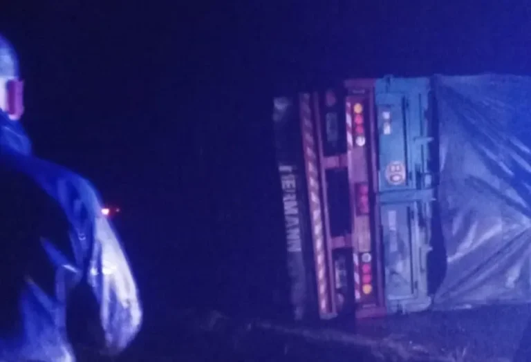 EL VUELCO DE UN CAMIÓN CAUSÓ DEMORAS EN LA RUTA NACIONAL 12