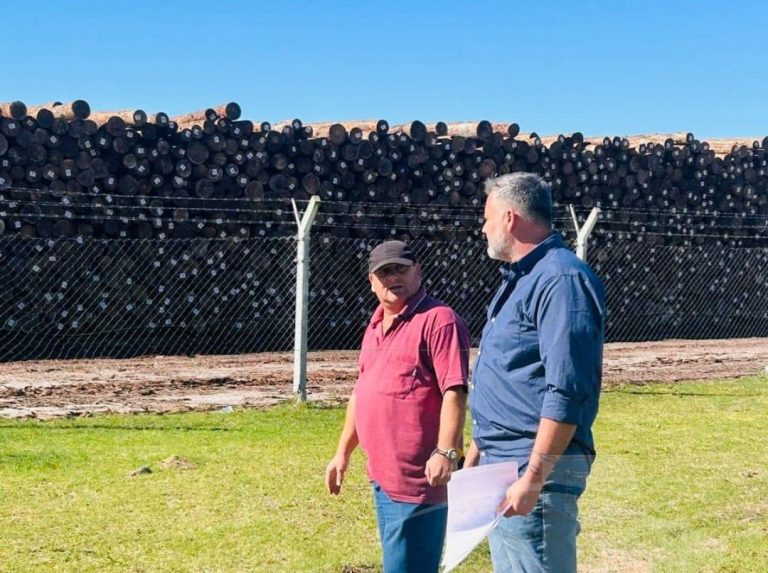 PROYECTO DE MEJORAS EN LOS ESPACIOS VERDES Y PLAYA DE MANIOBRAS DEL PUERTO IBICUY