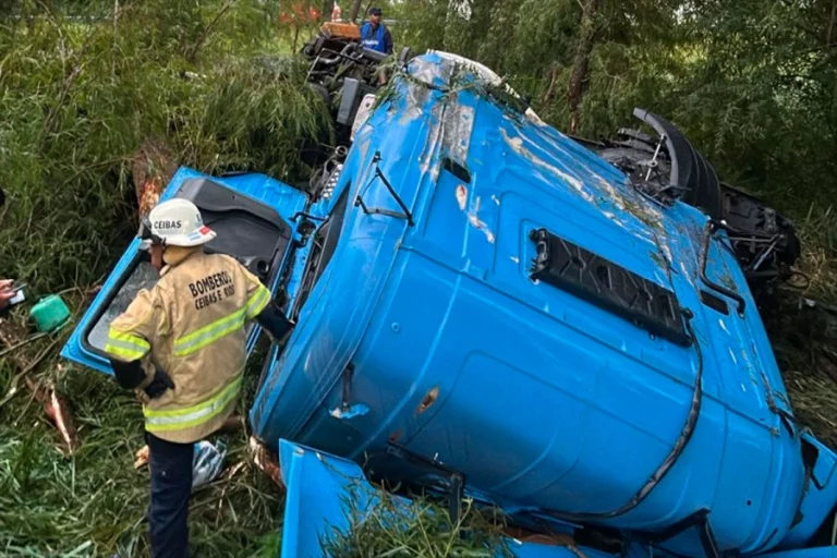 CAMIONERO MURIÓ TRAS DESPITAR Y VOLCAR EN RUTA 12, A LA ALTURA DE ISLAS
