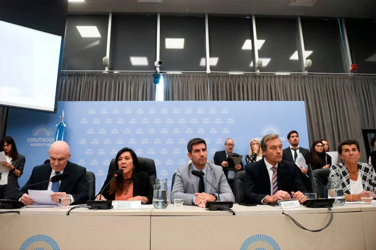 EL PROYECTO QUE BAJA LA EDAD DE IMPUTABILIDAD A 14 AÑOS OBTUVO DICTAMEN EN DIPUTADOS