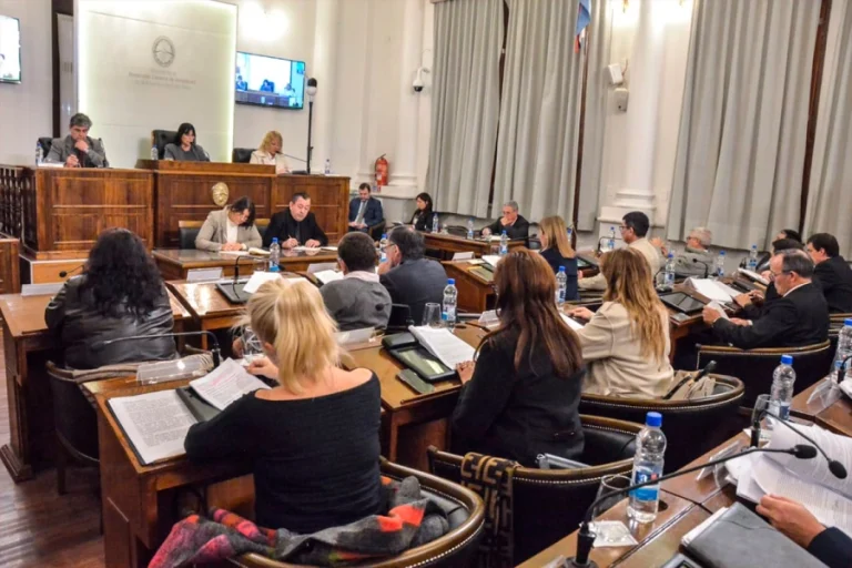 SENADORES APROBARON EL PROYECTO PARA CREAR LA OSER Y PASA A DIPUTADOS