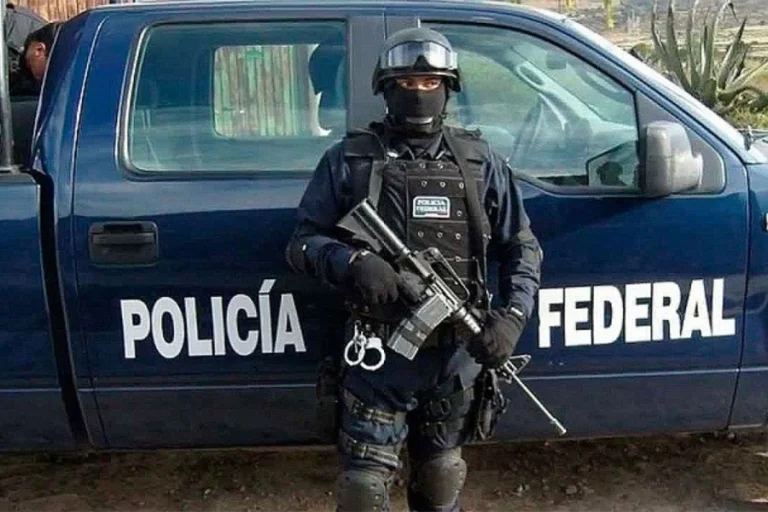 EL GOBIERNO NACIONAL DECRETÓ REFORMAS EN LA POLICÍA FEDERAL