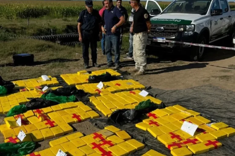 UN DETENIDO EN SEIS ALLANAMIENTOS EN BS AS POR LA CAUSA DE LA AVIONETA NARCO EN IBICUY