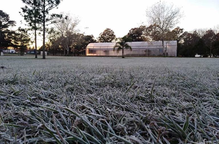ALERTA POR FRÍO EXTREMO EN LA COSTA DEL URUGUAY: SE REGISTRARON MÍNIMAS DE HASTA -2°C
