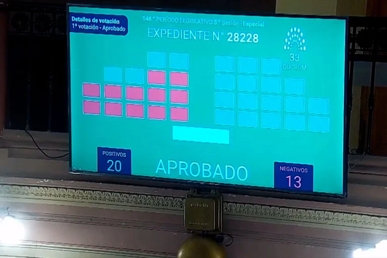 DIPUTADOS CONVIRTIÓ EN LEY LA CREACIÓN DE OSER CON EL VOTO DE LA MAYORÍA