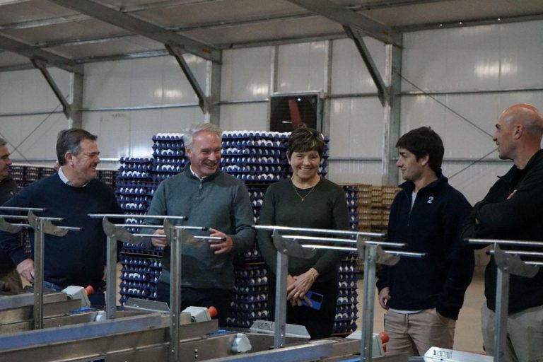 LA OBRA DE ELECTRIFICACIÓN RURAL EN EL DEPARTAMENTO GUALEGUAY PRESENTA UN AVANCE DEL 58%