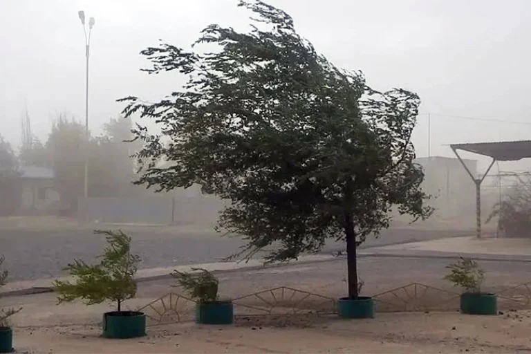CASI MEDIO PAÍS EN ALERTA POR RÁFAGAS DE VIENTO QUE SUPERARÍAN LOS 70 KM POR HORA