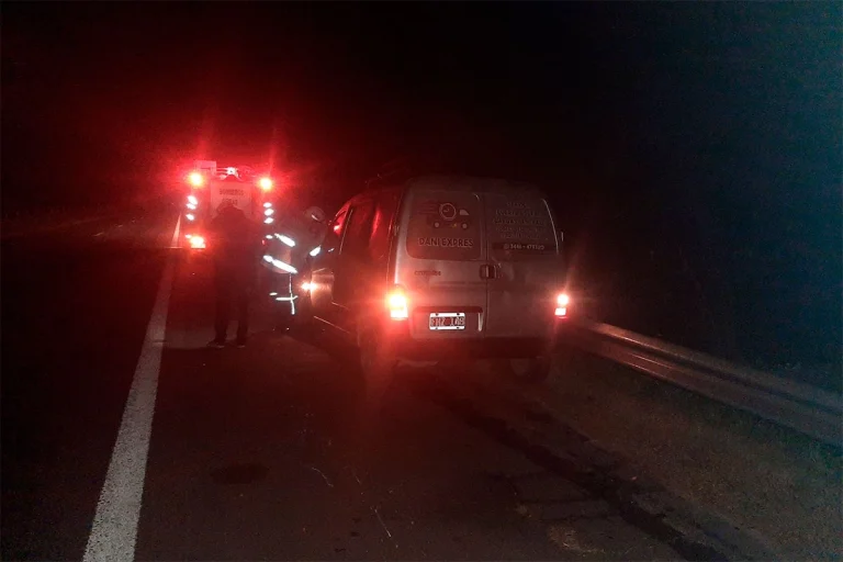 CONDUCTOR CHOCÓ CON DOS VACUNOS EN LA RUTA 12 Y SALIÓ ILESO