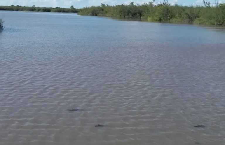 HALLARON EL CUERPO DEL HOMBRE DESAPARECIDO EN UNA LAGUNA DE ENTRE RÍOS