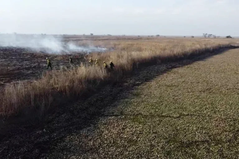CONDENAN A TRES APICULTORES POR LOS INCENDIOS EN EL DELTA