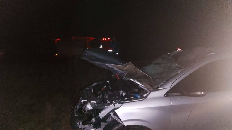 UN VEHÍCULO CHOCÓ CONTRA UN CABALLO Y SUS OCUPANTES SALIERON ILESOS