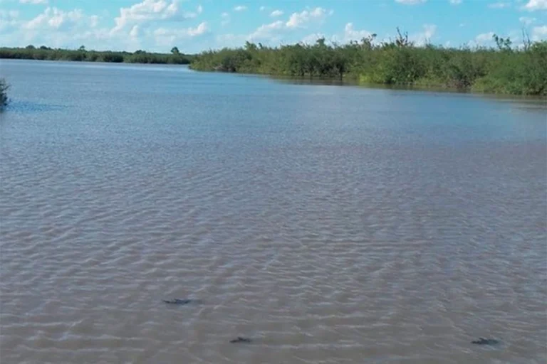 BUSCAN A UN HOMBRE QUE CAYÓ DE UNA LANCHA EN UNA LAGUNA