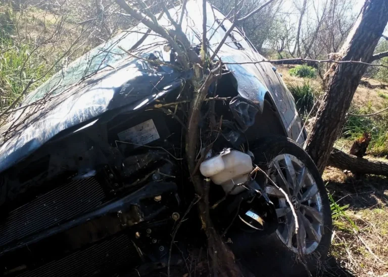 UN AUTO DESPISTÓ Y TERMINÓ ARRIBA DE UN ÁRBOL EN LA RUTA 12