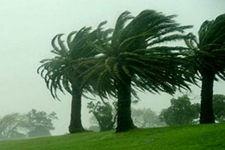 EMITIERON ALERTA AMARILLA POR VIENTOS PARA ESTE VIERNES