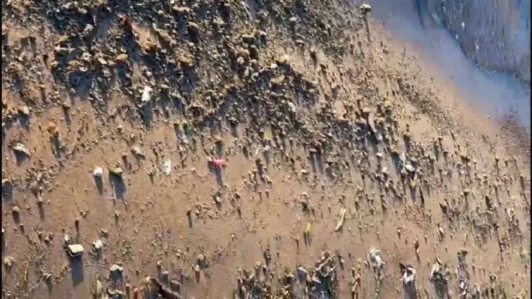 DENUNCIA LA PRESENCIA DE MATERIA FECAL SOBRE LA FRANJA COSTERA DE FRAY BENTOS