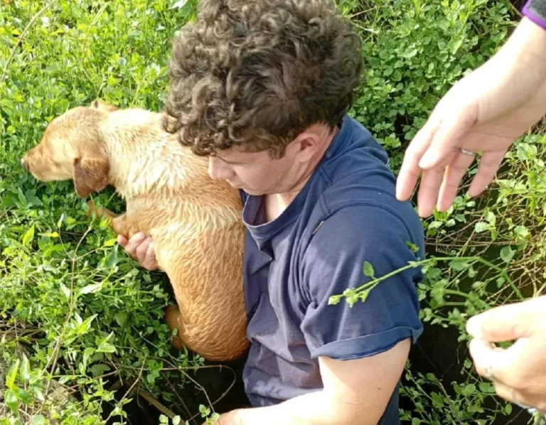 BOMBEROS RESCATARON A UN PERRO QUE CAYÓ A UNA BOCA DE TORMENTA EN LA RUTA 12