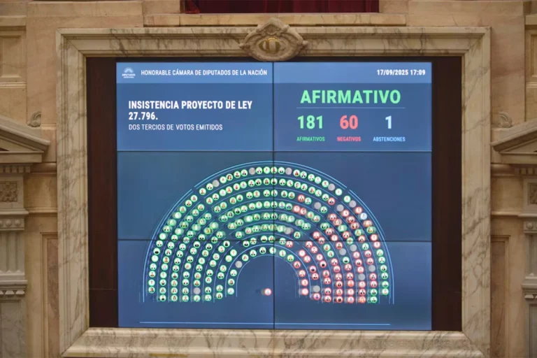 LA CÁMARA DE DIPUTADOS RECHAZÓ LOS VETOS A EMERGENCIA PEDIÁTRICA Y FINANCIAMIENTO UNIVERSITARIO