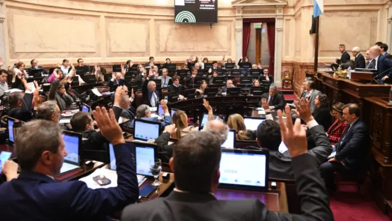 EL SENADO APROBÓ UN PROYECTO QUE PONE LÍMITES AL PRESIDENTE EN EL USO DE LOS DNU