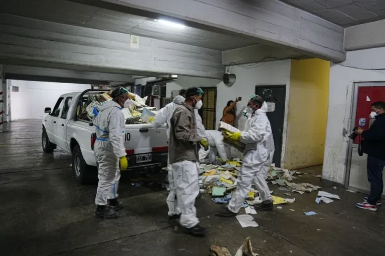 LA PROVINCIA DESCARTÓ MÁS DE CINCO TONELADAS DE PAPEL EN SALUD Y AVANZA EN LA DIGITALIZACIÓN