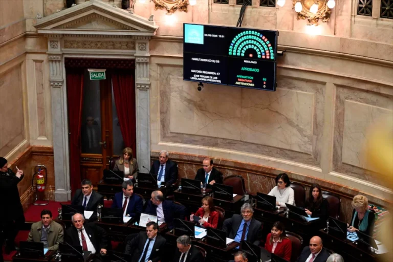 EL SENADO RECHAZÓ EL VETO DE MILEI Y REACTIVÓ LA LEY DE EMERGENCIA EN DISCAPACIDAD
