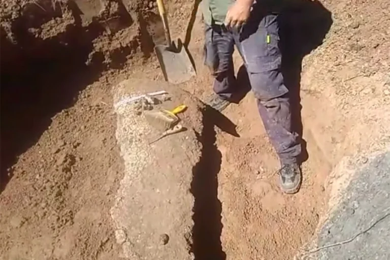 COMENZÓ UN OPERATIVO PARA EXTRAER LOS RESTOS DE GLIPTODONTE HALLADO EN ENTRE RÍOS