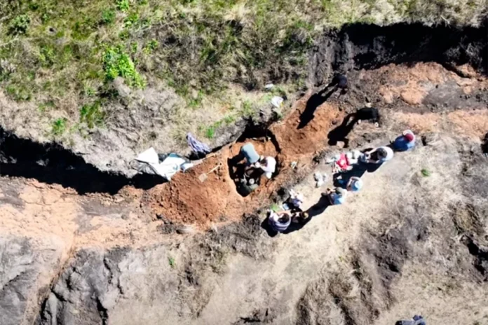 gliptodonte de arriba