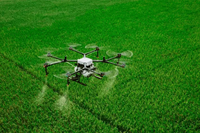 PROHÍBEN FUMIGAR CON DORNES EN ENTRE RÍOS TRAS DENUNCIA POR “DAÑO GENOTÓXICO” A UNA NIÑA