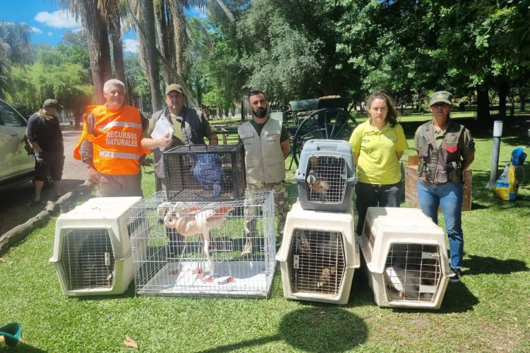 DECOMISAN EJEMPLARES DE FAUNA SILVESTRE EN GUALEGUAY