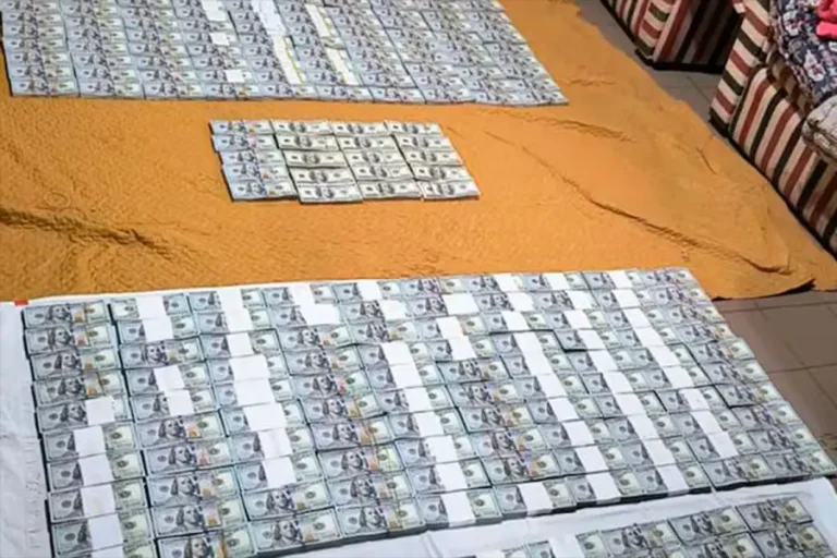 DETUVIERON A JOVEN EMPRESARIO DE ENTRE RÍOS POR LAVADO Y CONTRABANDO