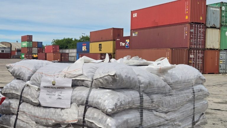 EMPRESA ARGENTINA LOGRÓ ENVIAR EL PRIMER CONTENEDOR DE NUEZ PECÁN HACIA CHINA