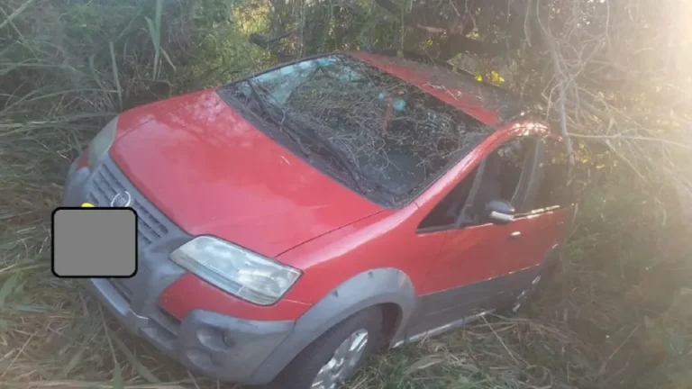 UN VEHÍCULO QUE TRASLADABA A TRES PERSONAS CHOCÓ CONTRA UN ÁRBOL EN RUTA 12