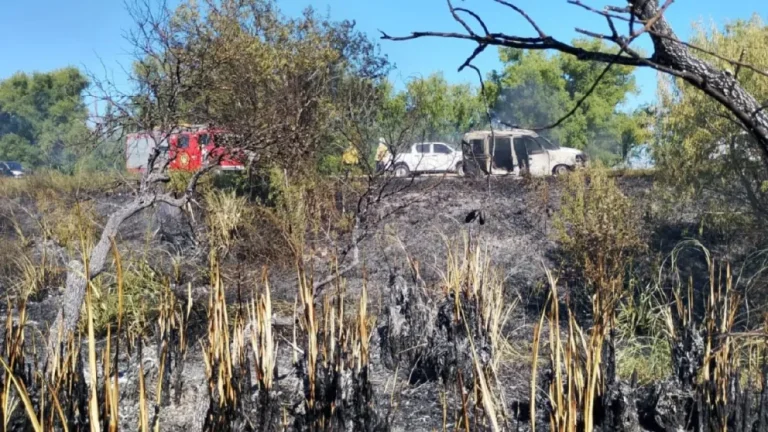 BOMBEROS VOLUNTARIOS DE CEIBAS REALIZARON INTERVENCIONES DE EMERGENCIA EN LA AUTOPISTA 12