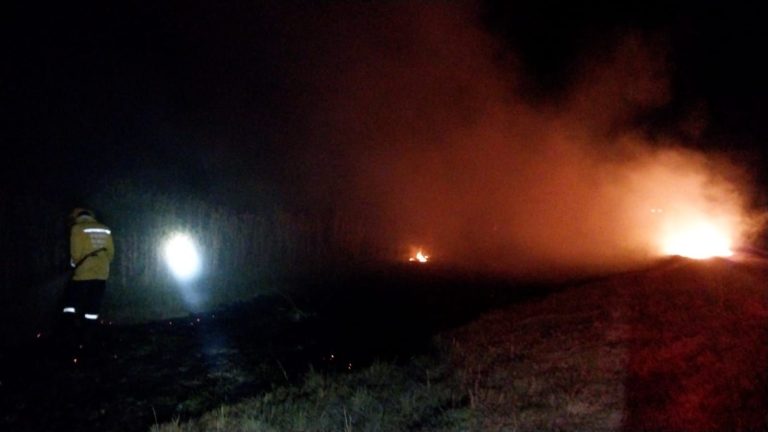 INCENDIO DE PASTIZALES EN ZONA URBANA DE MEDANOS
