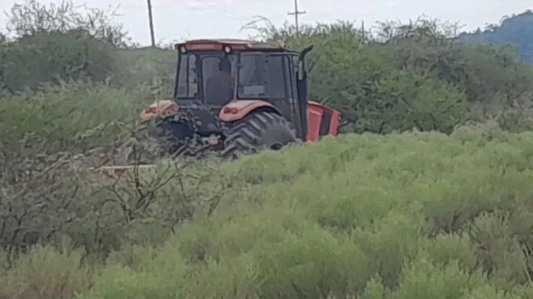 REALIZAN TAREAS DE DESMONTE Y BACHEOS EN TRAMOS DE LA RUTA DEL CORREDOR URUGUAY