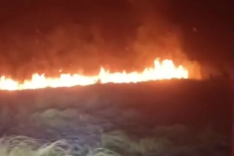 CREEN QUE EL INCENDIO DE MIL HECTÁREAS COMENZÓ COMO UN “INCENDIO CONTROLADO”