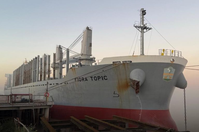 NUEVO ARRIBO EN PUERTO IBICUY: EL BUQUE ALBERTO TOPIC ATRACÓ CON UNA CARGA DE ROLLIZOS DE PINO