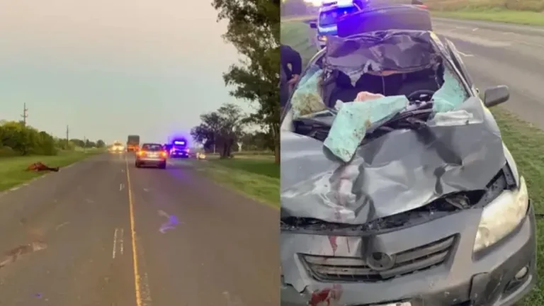 CINCO PERSONAS RESULTARON HERIDAS TRAS CHOCAR CONTRA UN CABALLO EN LA RUTA 12