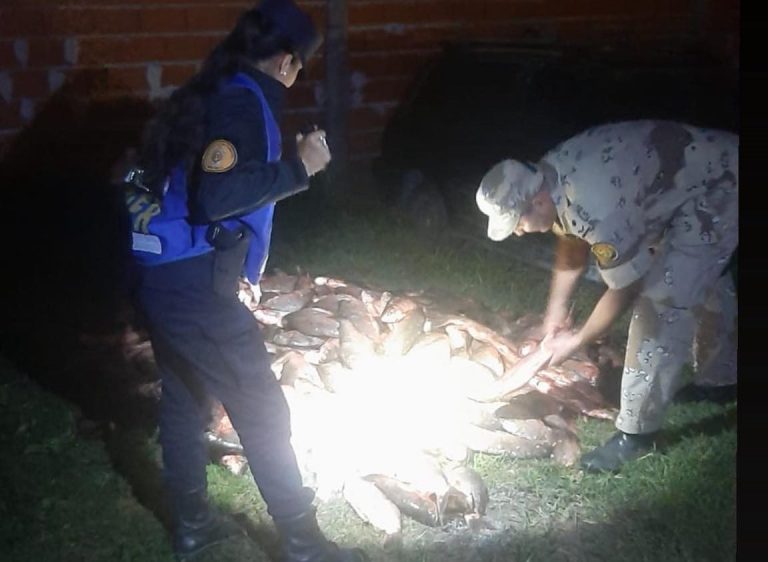DECOMISAN PESCADO NO APTO PARA CONSUMO EN UN OPERATIVO EN CEIBAS