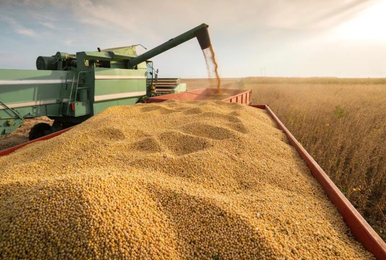 La campaña sojera toma impulso y proyecta exportaciones por más de US$ 21.000 millones
