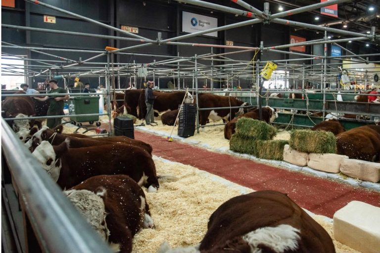 En la muestra rural de Palermo reconocerán a productores entrerrianos